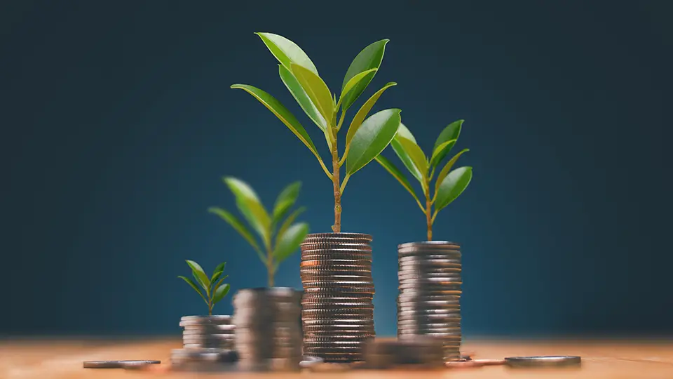 Benefits of Residency by Investment programmes